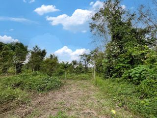 For sale land in Thai Mueang, Phang Nga