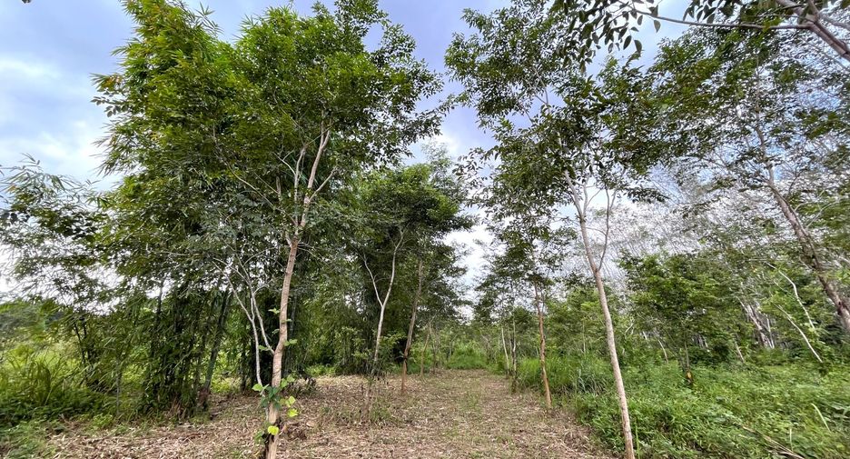 Terreno en venta en Thai Mueang, Phang Nga