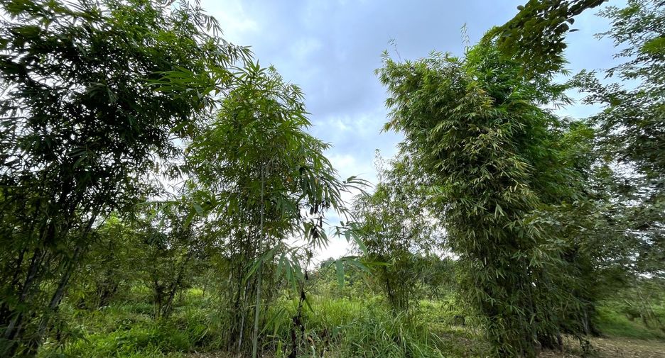 Terreno en venta en Thai Mueang, Phang Nga