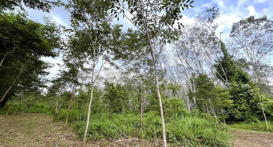 Terreno en venta en Thai Mueang, Phang Nga