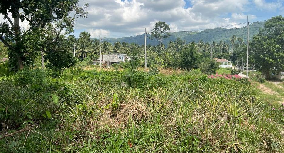 For rent and for sale land in Ko Samui, Surat Thani