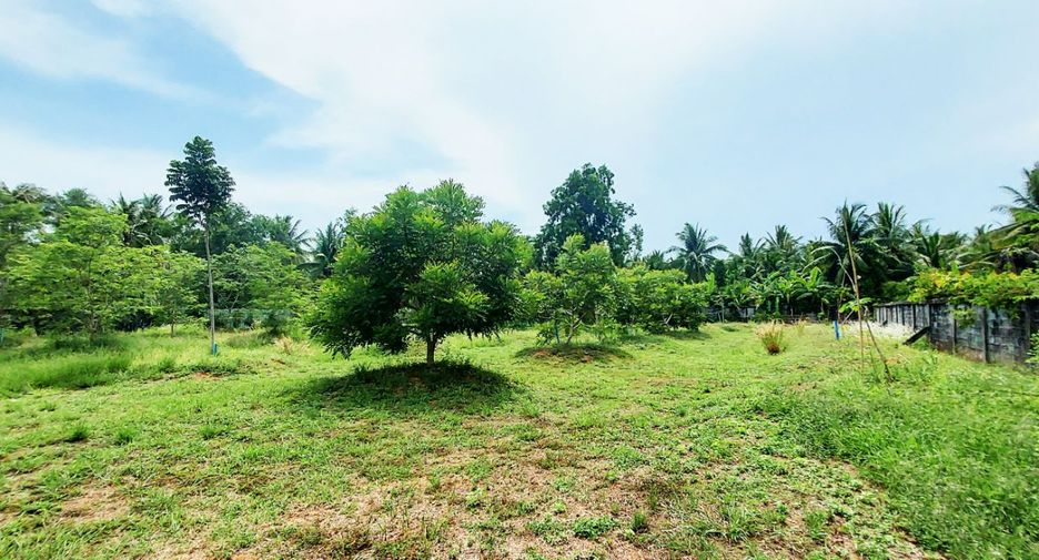 For sale 6 bedrooms retail Space in Klaeng, Rayong