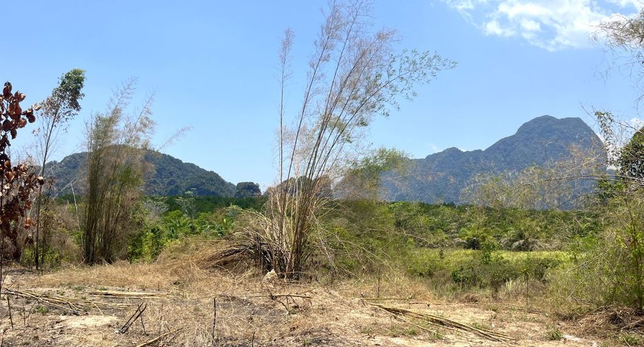 À vendre terrain à Mueang Krabi, Krabi