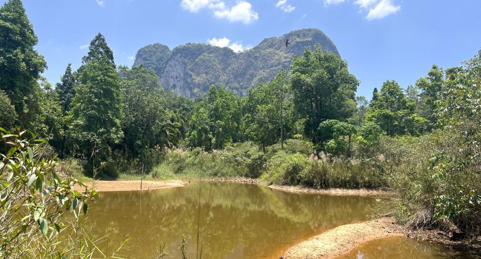 À vendre terrain à Mueang Krabi, Krabi