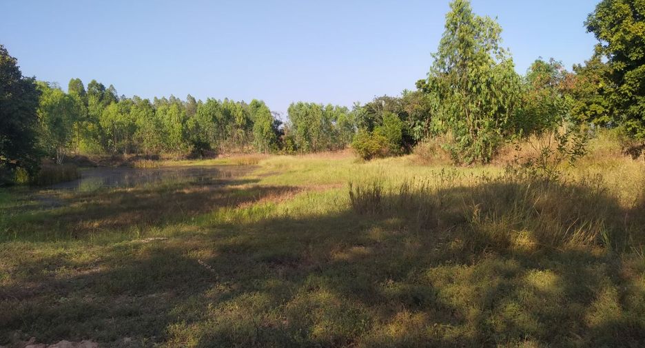 For sale land in Sahatsakhan, Kalasin