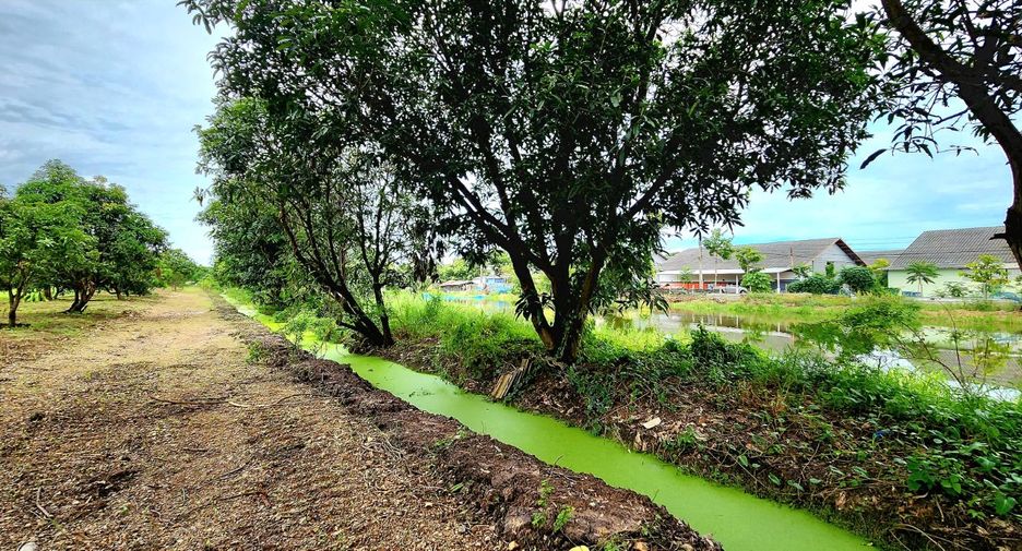 For sale land in Thanyaburi, Pathum Thani
