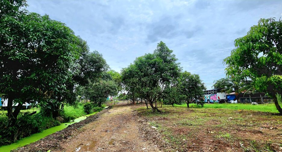 For sale land in Thanyaburi, Pathum Thani