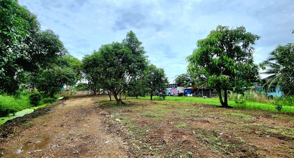 For sale land in Thanyaburi, Pathum Thani