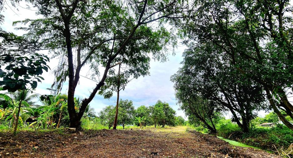 For sale land in Thanyaburi, Pathum Thani