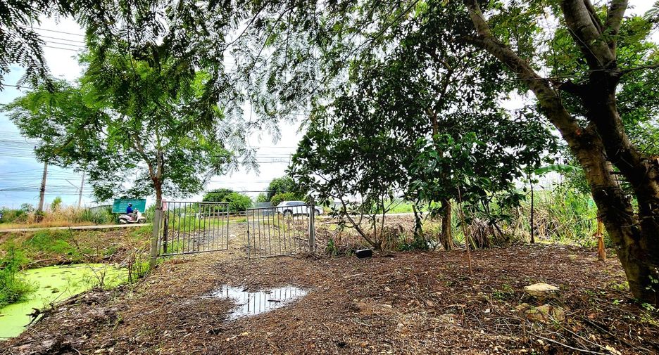 For sale land in Thanyaburi, Pathum Thani