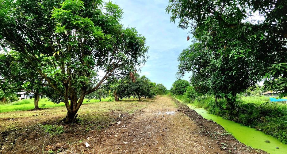 For sale land in Thanyaburi, Pathum Thani