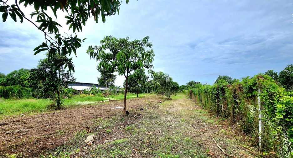 For sale land in Thanyaburi, Pathum Thani