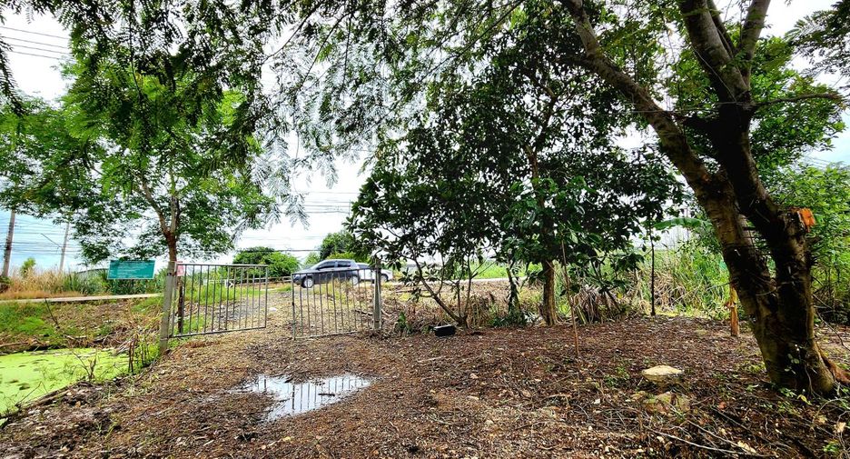 For sale land in Thanyaburi, Pathum Thani