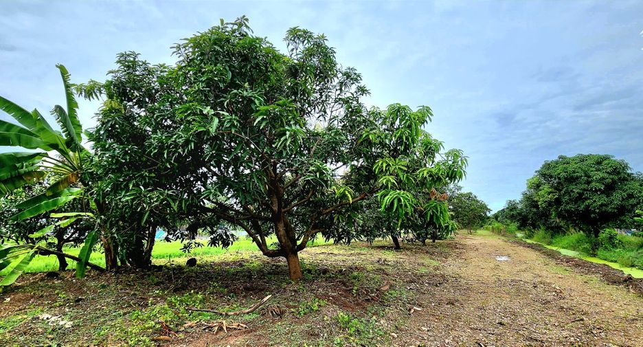 For sale land in Thanyaburi, Pathum Thani