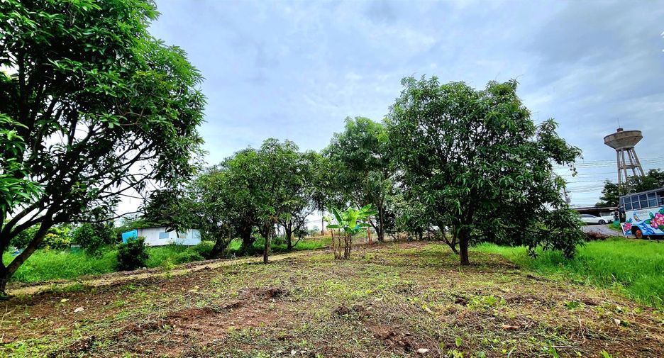 For sale land in Thanyaburi, Pathum Thani