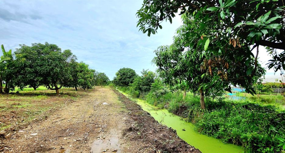 For sale land in Thanyaburi, Pathum Thani