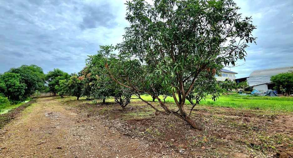 For sale land in Thanyaburi, Pathum Thani