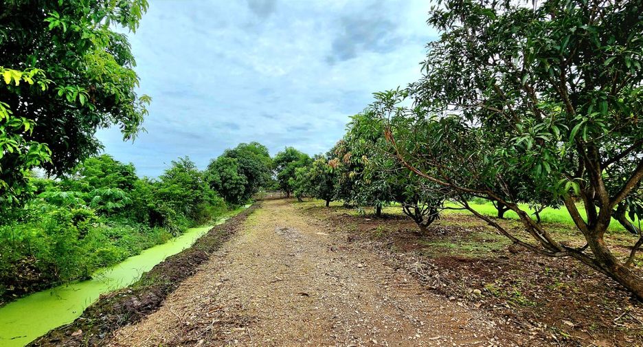 For sale land in Thanyaburi, Pathum Thani