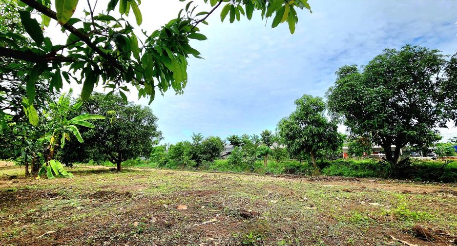 For sale land in Thanyaburi, Pathum Thani