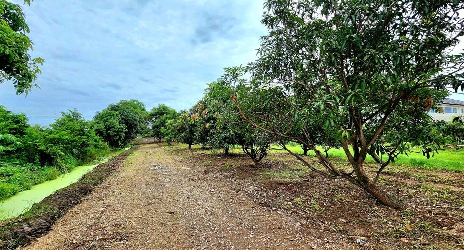 For sale land in Thanyaburi, Pathum Thani