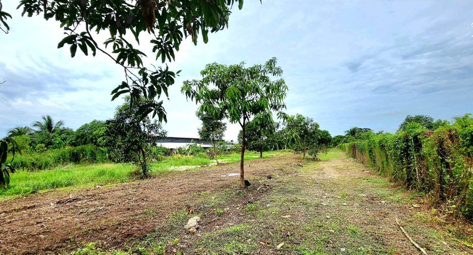 For sale land in Thanyaburi, Pathum Thani
