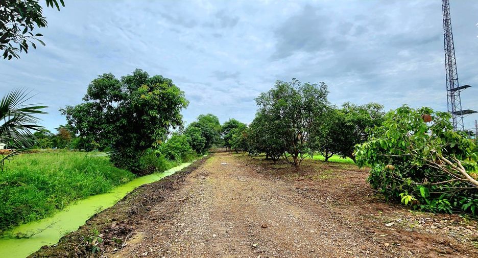 For sale land in Thanyaburi, Pathum Thani
