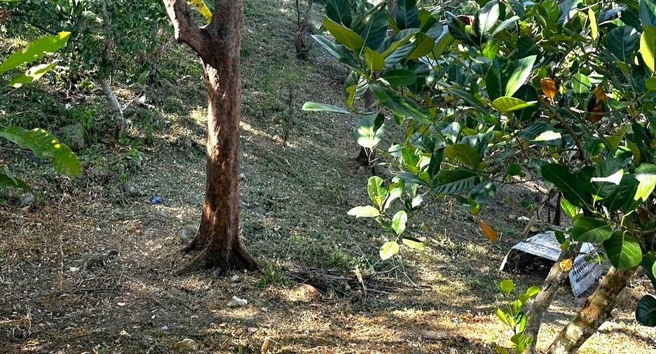 Grundstück zum Kauf in Mueang Phuket, Phuket