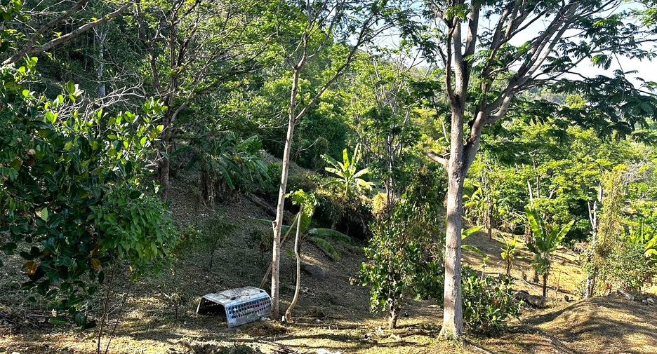 Grundstück zum Kauf in Mueang Phuket, Phuket