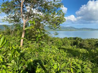 For sale land in Takua Thung, Phang Nga