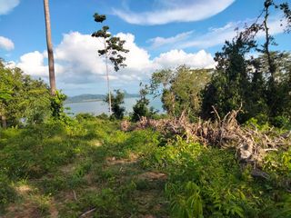 For sale land in Takua Thung, Phang Nga