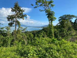 For sale land in Takua Thung, Phang Nga