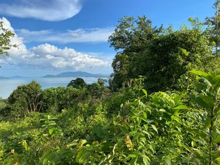 For sale land in Takua Thung, Phang Nga