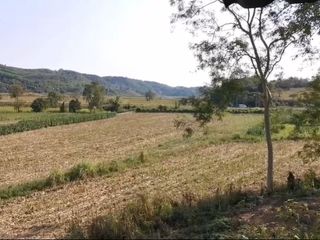For sale land in Chiang Khong, Chiang Rai