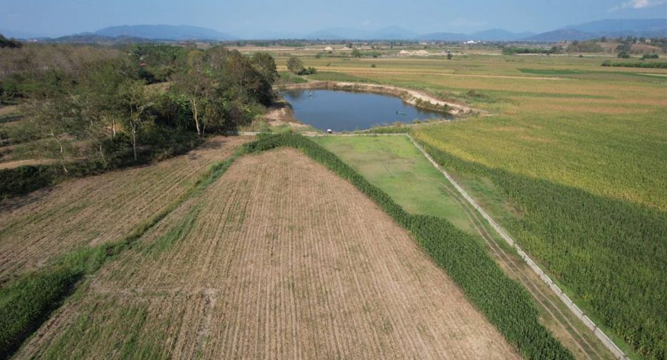 For sale land in Chiang Khong, Chiang Rai