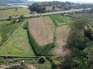For sale land in Chiang Khong, Chiang Rai