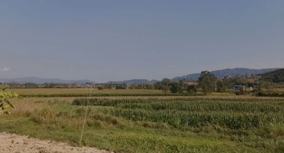 For sale land in Chiang Khong, Chiang Rai
