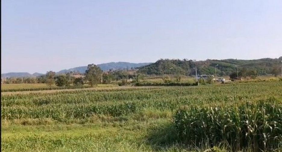 For sale land in Chiang Khong, Chiang Rai