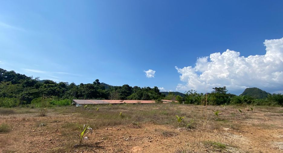 ขาย ที่ดิน ใน เมืองกระบี่, กระบี่