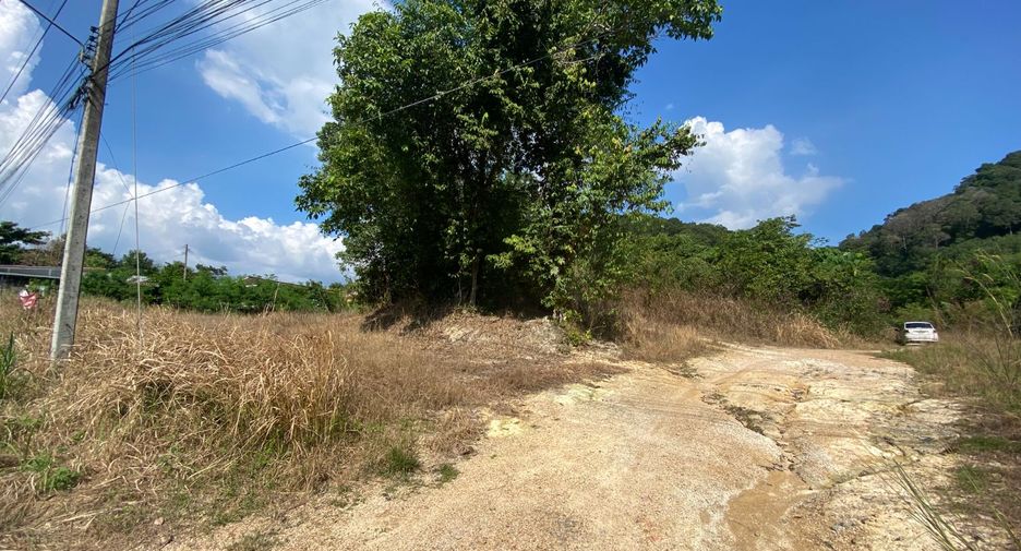 ขาย ที่ดิน ใน เมืองกระบี่, กระบี่