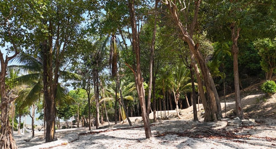 出售 土地 在 Mueang Krabi, Krabi