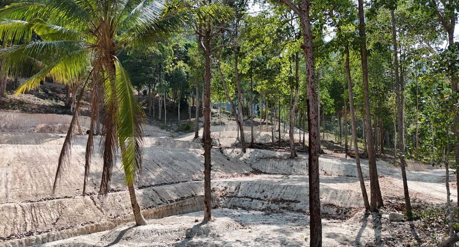 出售 土地 在 Mueang Krabi, Krabi