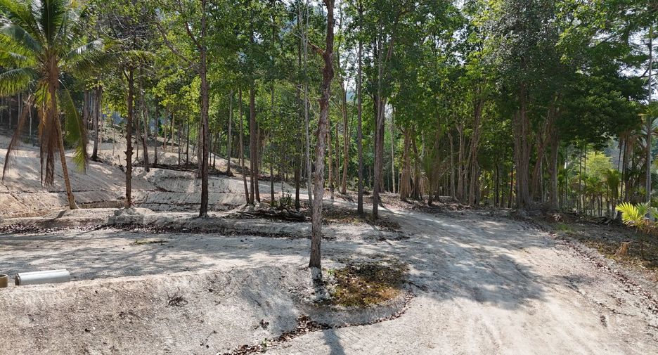 出售 土地 在 Mueang Krabi, Krabi
