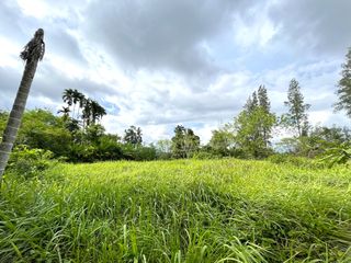 Terreno en venta en Takua Thung, Phang Nga