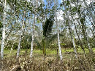 Terreno en venta en Takua Thung, Phang Nga