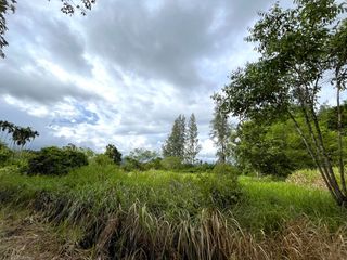 Terreno en venta en Takua Thung, Phang Nga