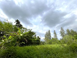 Terreno en venta en Takua Thung, Phang Nga