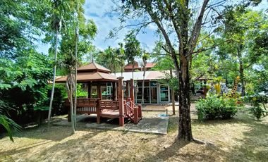 出售 土地 在 Bang Khla, Chachoengsao