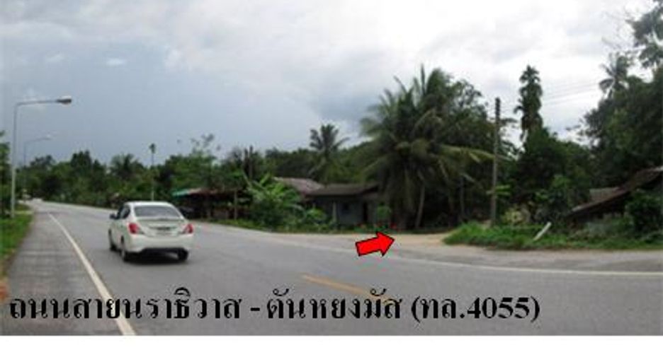 Grundstück zum Kauf in Ra-ngae, Narathiwat