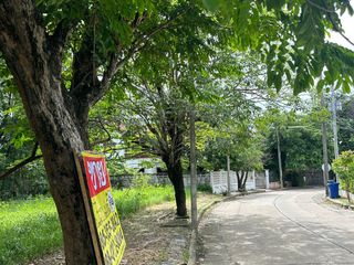 For sale land in Nong Khaem, Bangkok