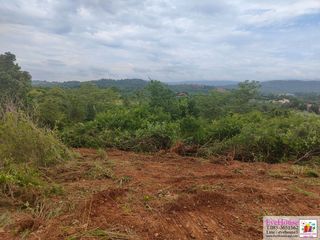For sale land in Prachantakham, Prachin Buri